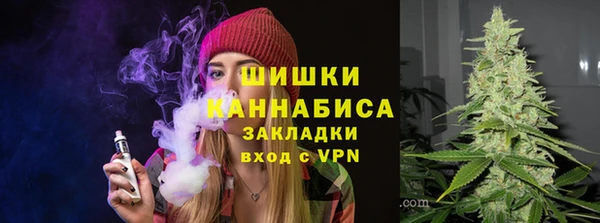 трава Белокуриха