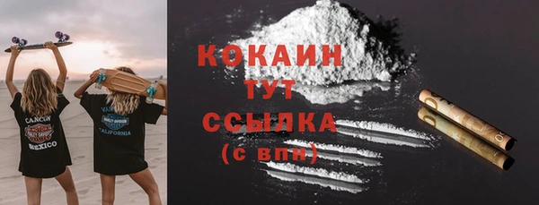 трава Белокуриха