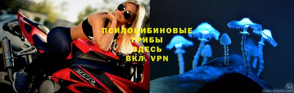 молекула духа Белоозёрский