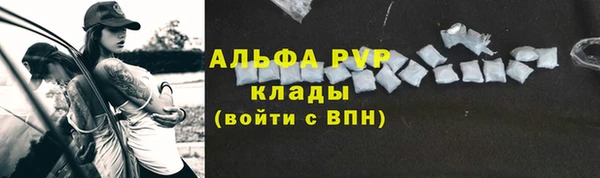 трава Белокуриха