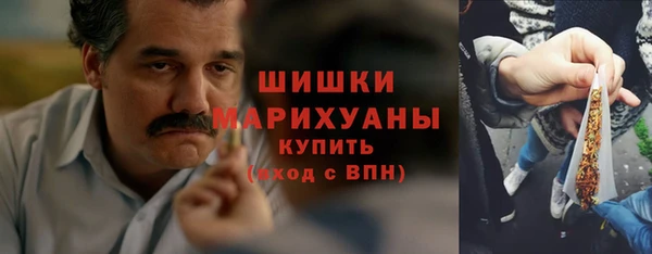 молекула духа Белоозёрский