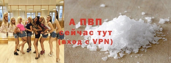 трава Белокуриха