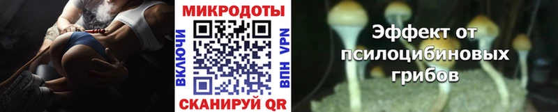 где найти   Сланцы  Псилоцибиновые грибы ЛСД 