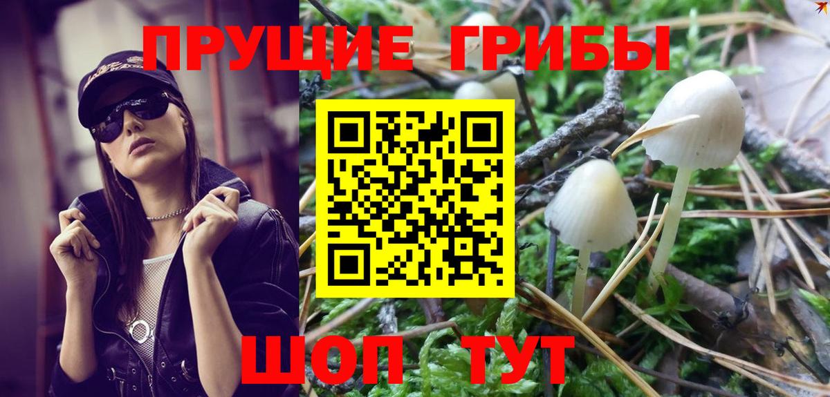Сланцы  Псилоцибиновые грибы Magic Shrooms  Вход с VPN 