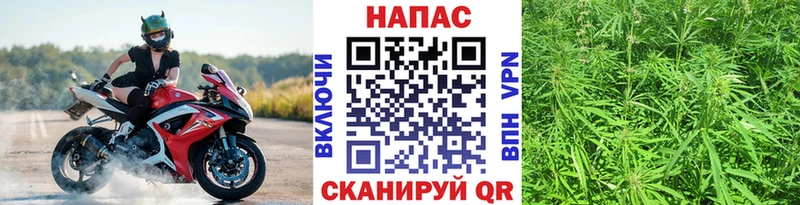 МЕГА как войти Сланцы Конопля Amnesia